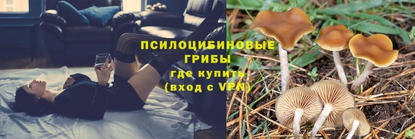 круглые Верея